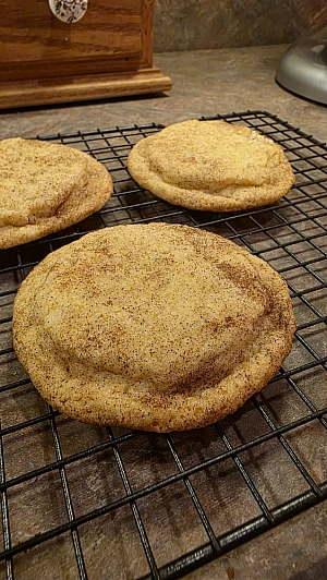 Classic Snickerdoodles